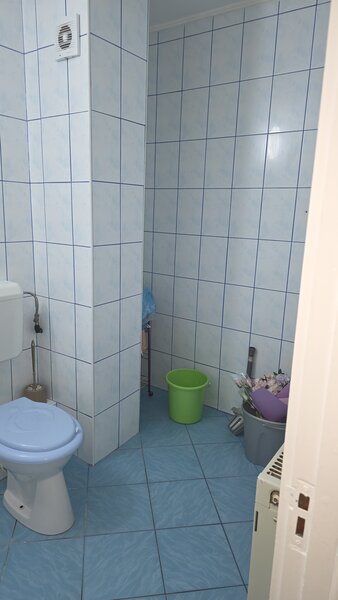 Colentina Rau, Radovanu, semistradal, centrala termica proprie